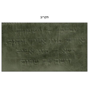 תיק מגן תפילין טרמי ירוק זית עם הטבעת "ברכת הכוהנים"